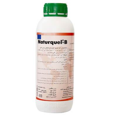 ناتور کوئل بُر